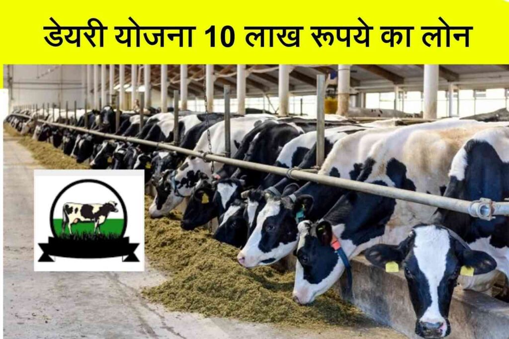 Dairy Farming Loan Apply