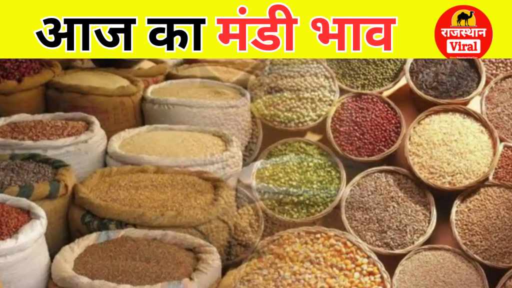 Aaj Ka Mandi Bhav: नरमा, कपास, धान, बाजरा, मोठ, सरसों, मूंगफली, ग्वार, इत्यादि के भाव