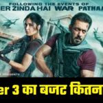 Tiger 3 Movie Budget: बजट में 'पठान' को भी छोड़ा पीछे, एक फिल्म के बराबर फीस लिया सलमान खान